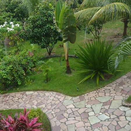 Pipa Golfinhos Hotel Praia de Pipa Kültér fotó